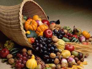 bountiful-harvest